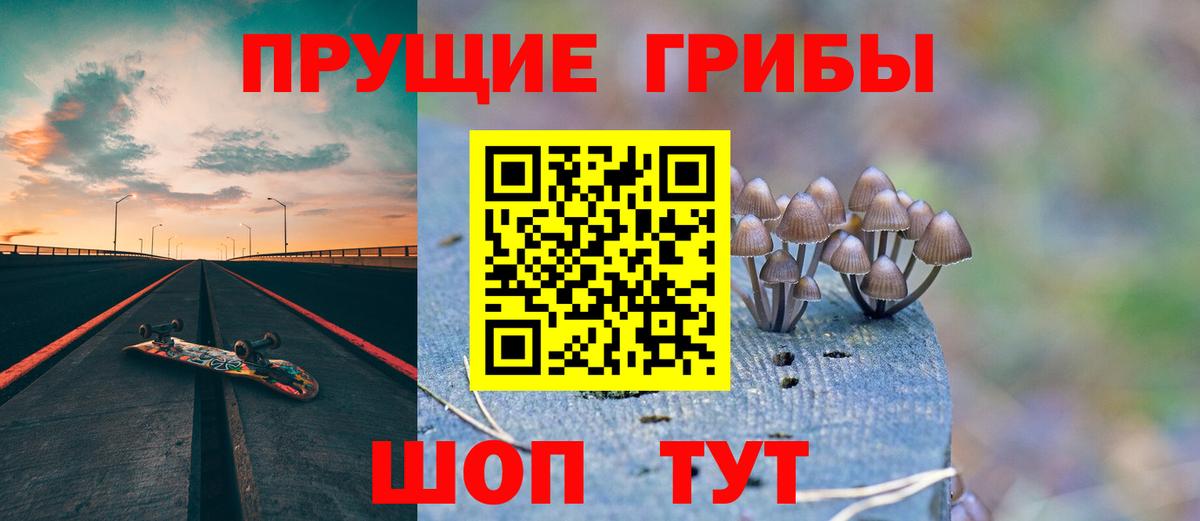 Боровичи  Галлюциногенные грибы Magic Shrooms  Вход с VPN  где продают наркотики  Псилоцибиновые грибы MAGIC MUSHROOMS 