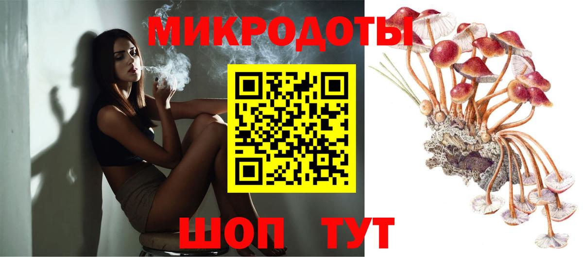 Галлюциногенные грибы Psilocybine cubensis Боровичи